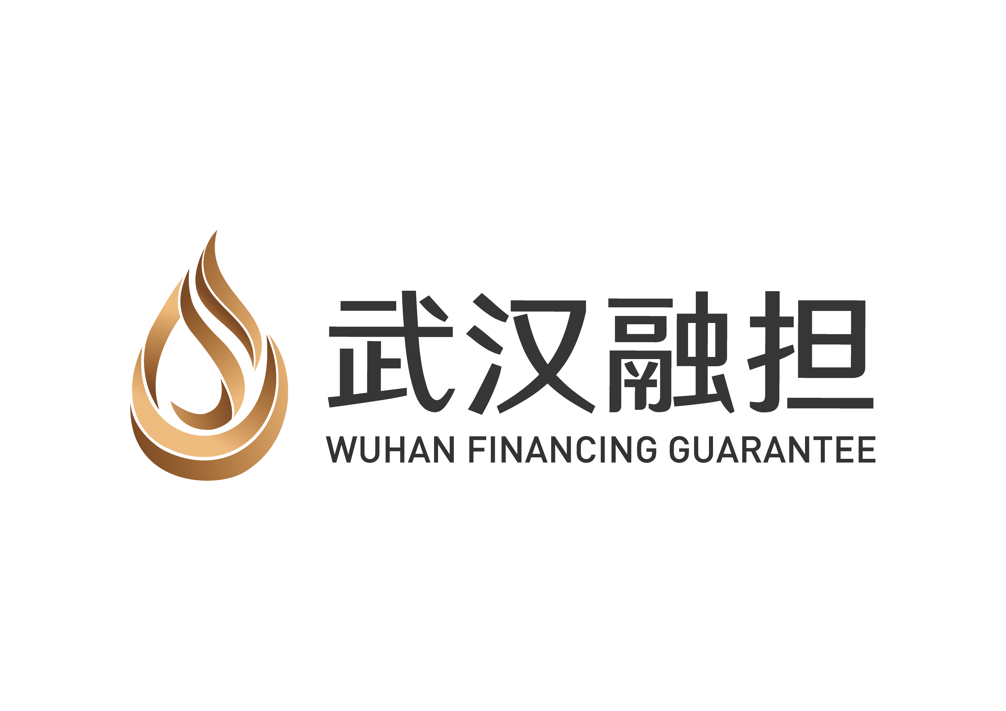 武汉融担